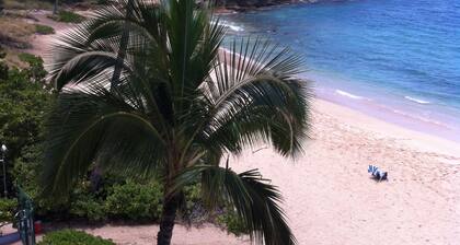 Best Kept Secret on Oahu !