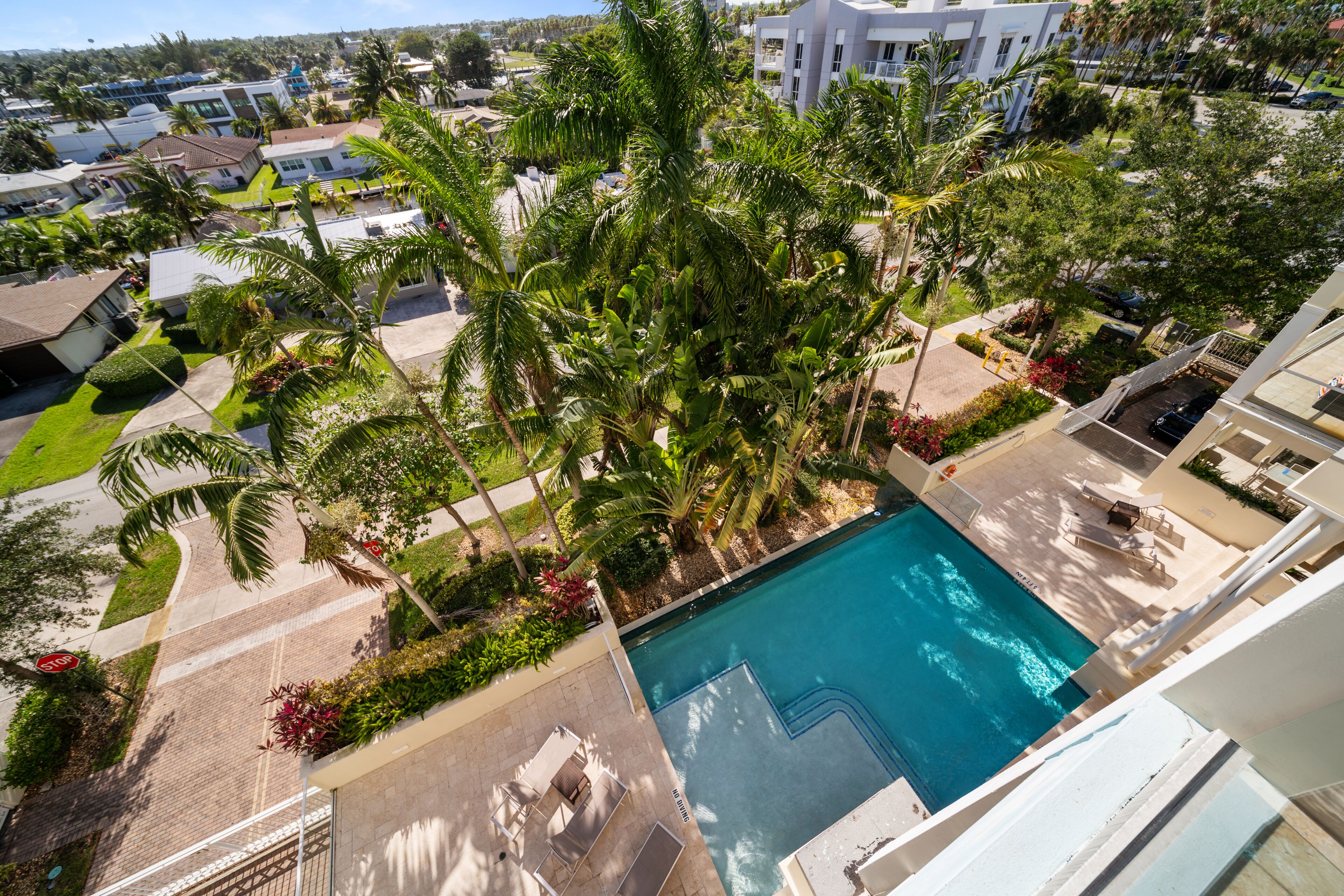 A residential area with a swimming pool surrounded by palm trees and a well-maintained lawn.