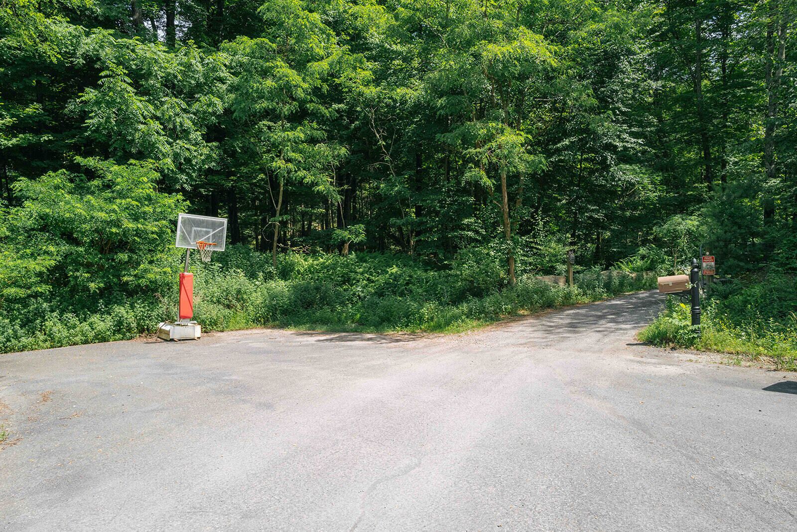 A road leading through a forest with a basketball hoop and a mailbox on the side.