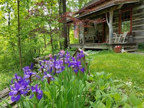 Exterior - Captain's Cabin Bed & Breakfast: Bourbon Trail, History & Romance (Louisville)