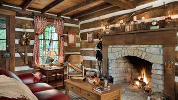 Téléviseur, foyer, livres, sélection de musique