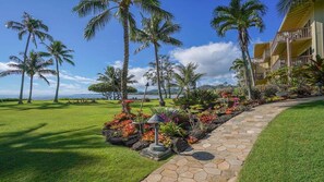Property grounds - "Sunny Daze" at Lae Nani 522 -Oceanfront, Second Floor, 2 Bedroom | 2 Bathroom (Kapaa)
