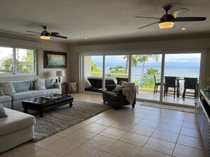 Smart TV, DVD player, books, video library