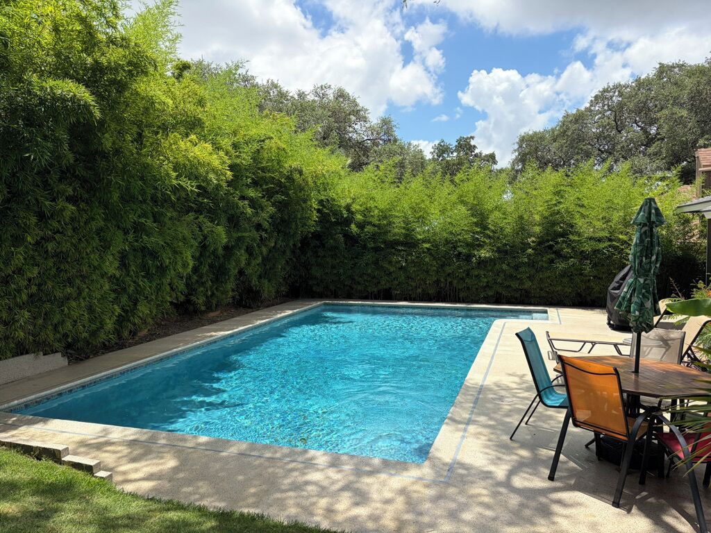 Une piscine rectangulaire, bordée d’une terrasse carrelée et entourée d’une végétation luxuriante et d’arbres.