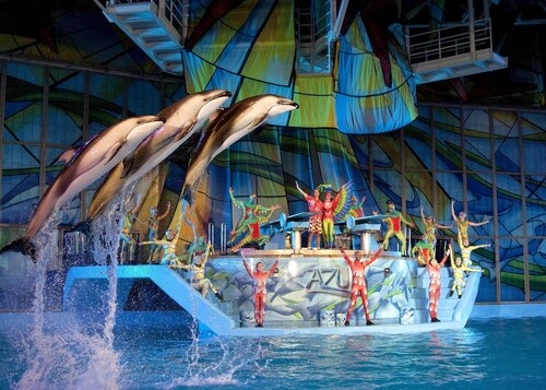 San Antonio Family Getaway: Private Pool & Backyard - 4Bed 2Bath with sunroom 