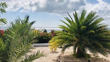 Een tuin met palmbomen en bloeiende planten, een grindpad en uitzicht op zee.