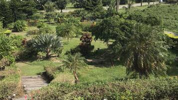 Un patio al aire libre con una mesa y sillas de cerámica, rodeado de plantas en macetas y vistas al océano.