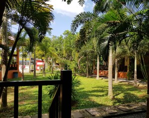 Deluxe Room | View from room