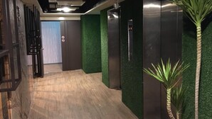 A hallway with wooden flooring, green artificial grass walls, and two elevators. - Greeninn Hotel (New Taipei City)