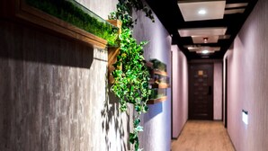 A hallway with a wooden floor, a wall-mounted planter with green plants, and a door at the end. - Greeninn Hotel (New Taipei City)