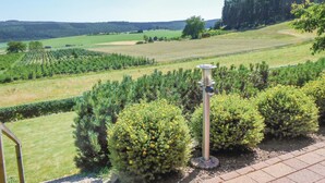 A vineyard with rows of grapevines and a metal structure in the foreground. - 1 bedroom cozy apartment in Medebach-Düdinghausen (Medebach-Düdinghausen)
