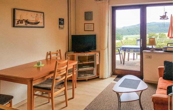 تلفزيون، مشغل دي في دي