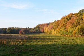 Property grounds - Lilla Rygården Bed & Breakfast (Lövestad)