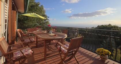 Magma Guest House