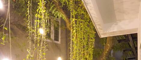 A person standing on a balcony with hanging plants and a view of a traditional building with a blue roof.