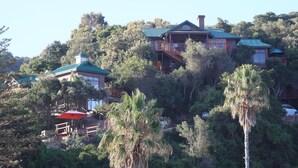 A multi-story house with a green roof, surrounded by dense forest. - Boardwalk Lodge - B&B (Wilderness)