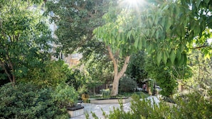 A lush garden with a variety of trees and shrubs, a concrete bench, and a pathway. - The Schumacher Hotel Haifa (Haifa)
