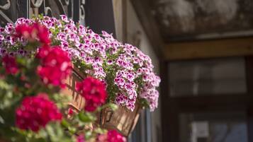 Un panier suspendu rempli de fleurs roses et rouges.