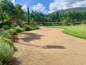 Garden - Camping Le Sagone (Vico)