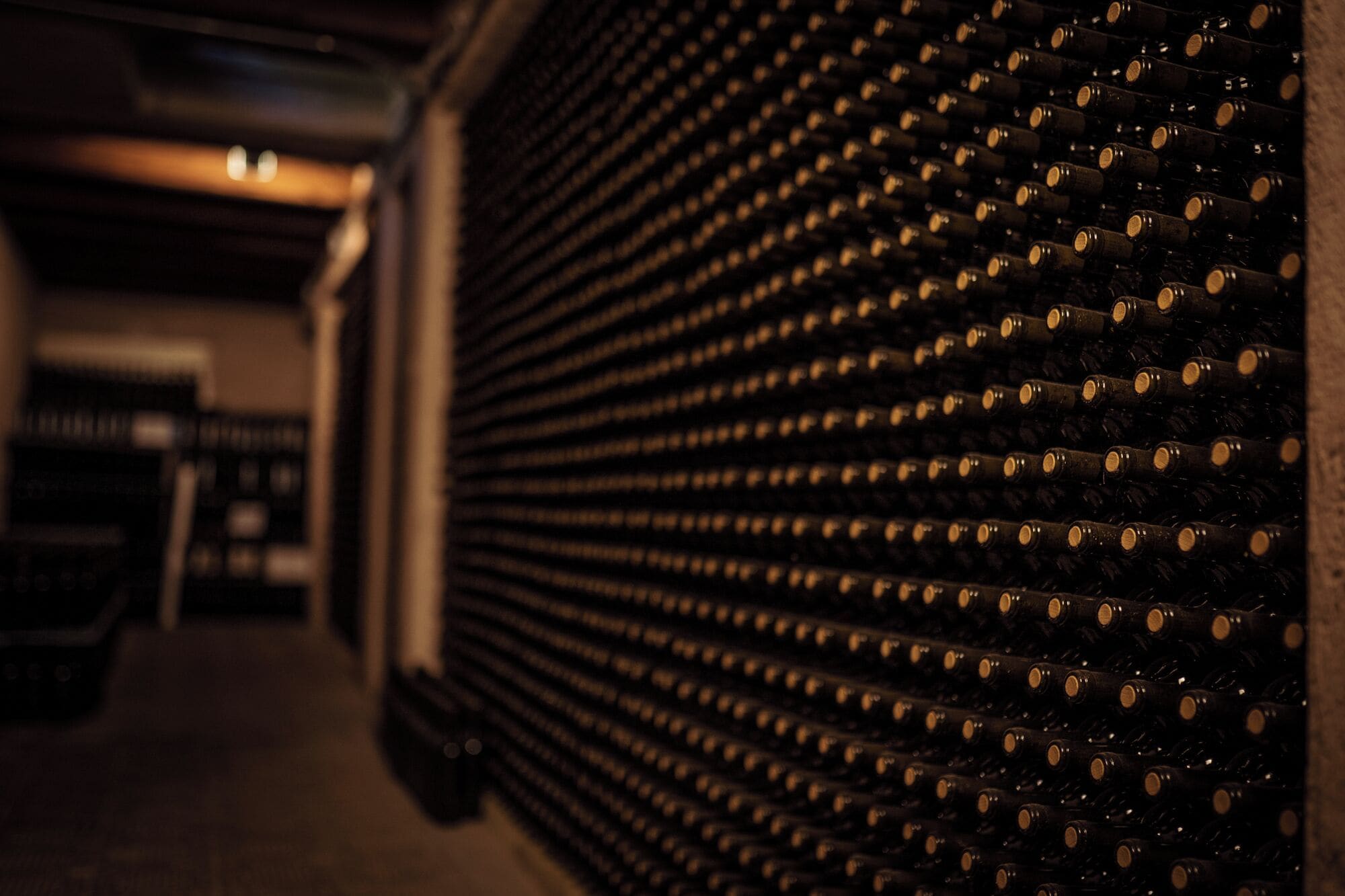 Photo - Agriturismo Cerrolungo