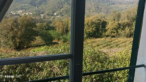 Vista desde una ventana con marco metálico, sobre un valle con casas dispersas y colinas boscosas y frondosas.