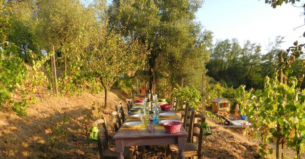 Photo - Agriturismo Cerrolungo