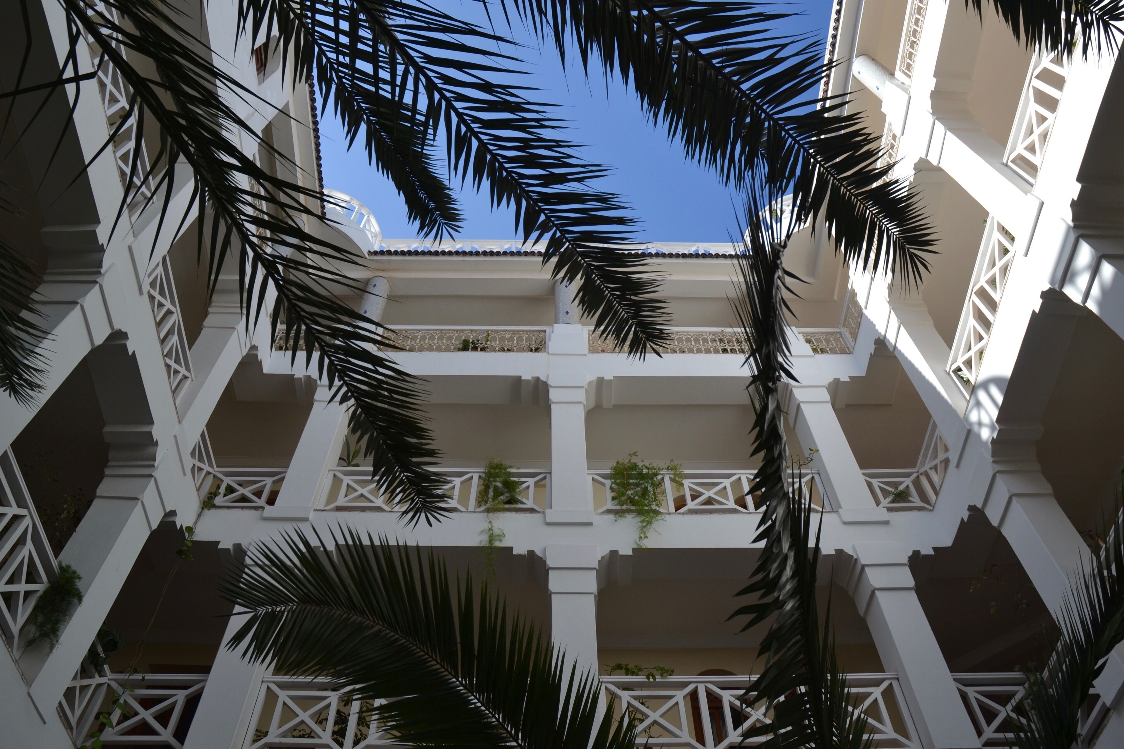 A multi-level building with white balconies and palm trees.