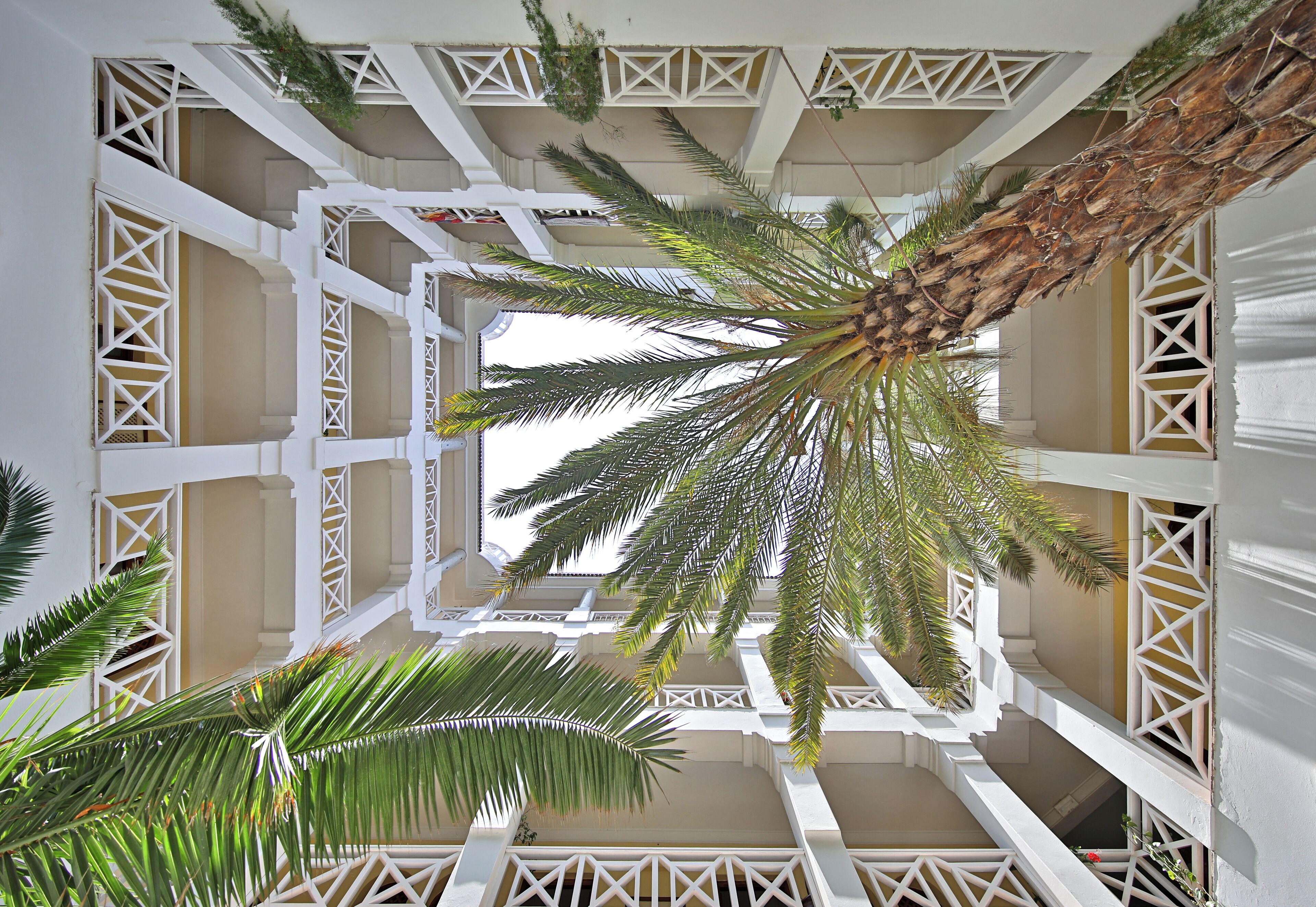 A multi-level atrium with a palm tree and white lattice railings.