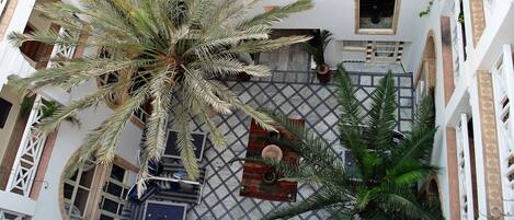 Un patio de varios niveles con una palmera grande, plantas en macetas y suelo de baldosas.