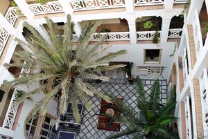 Um pátio com vários níveis, uma grande palmeira, plantas em vasos e piso de azulejos.