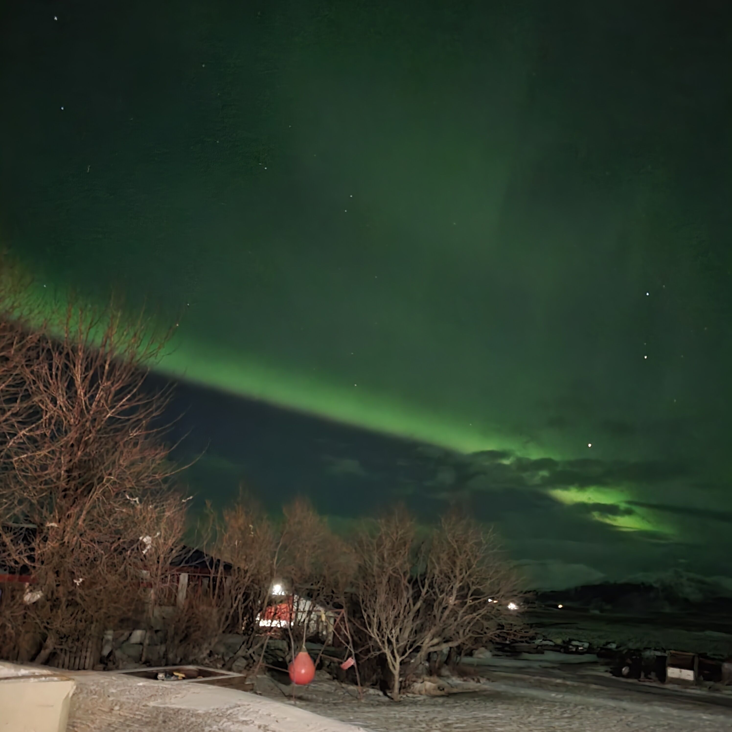 A snowy landscape with a house and trees under a night sky with green aurora borealis.