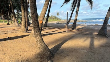 Una spiaggia nelle vicinanze