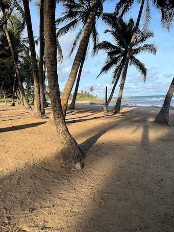 Beach nearby. FURNISHED ON THE BEACH IN SALVADOR WITH AIR CONDITIONING