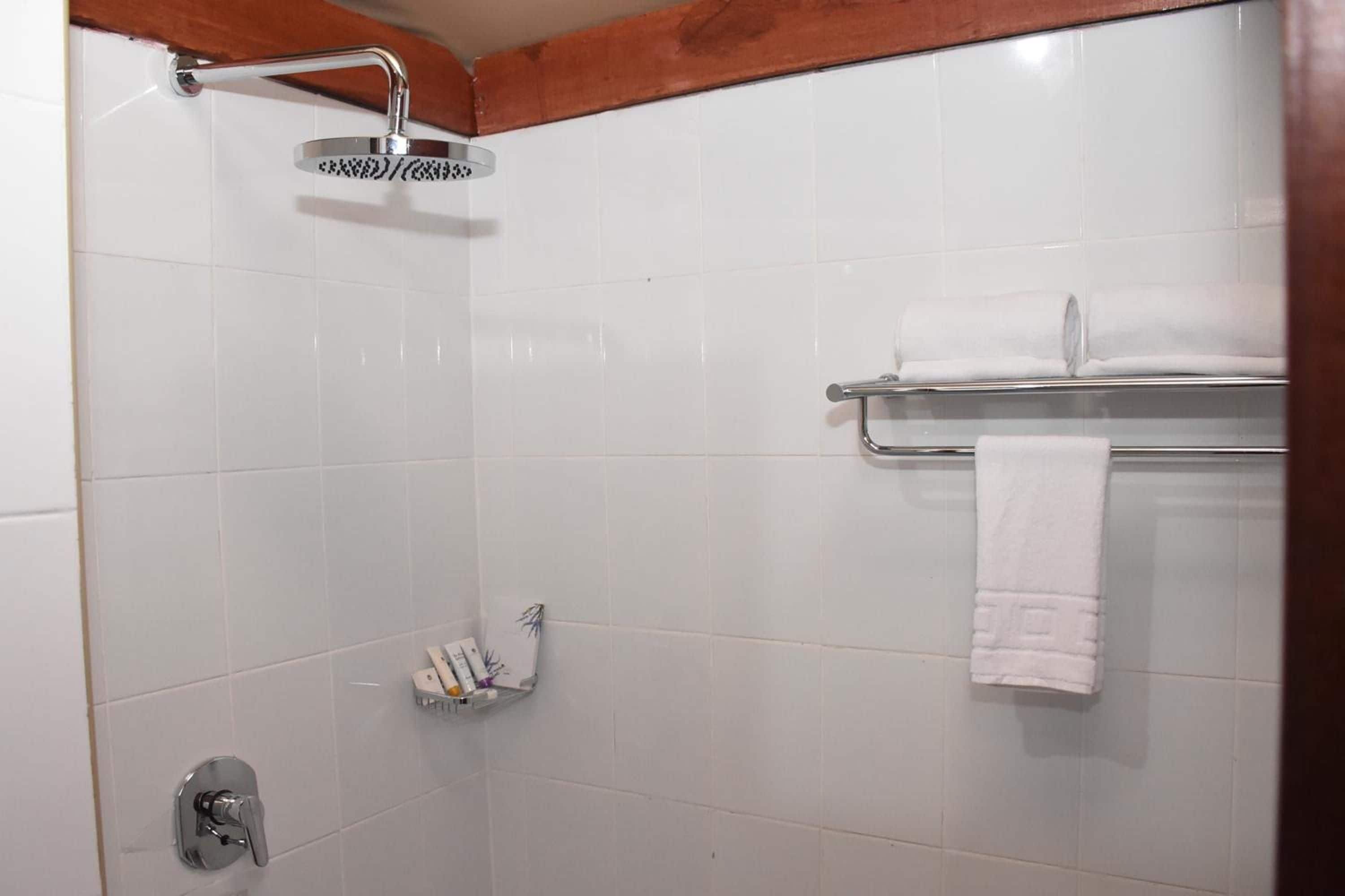 A shower with a handheld showerhead, a towel rack with a towel, and a small shelf with toiletries.