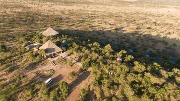 An aerial view of a rural property with a central building surrounded by trees and a few scattered structures.