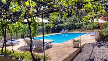 Kolam renang outdoor, dengan payung kolam renang dan kursi berjemur