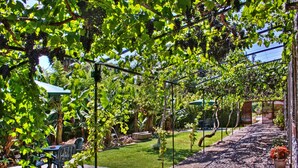 A garden patio with a table and chairs, surrounded by lush greenery and grapevines. - Casa das Vinhas (Funchal)
