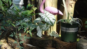 Un jardín con una estatua, un flamenco y una maceta con la marca Monrovia.