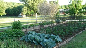 Jardin
