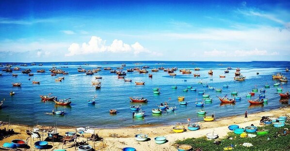 A coastal scene with numerous boats on the water and a beach with boats lined up on the shore.