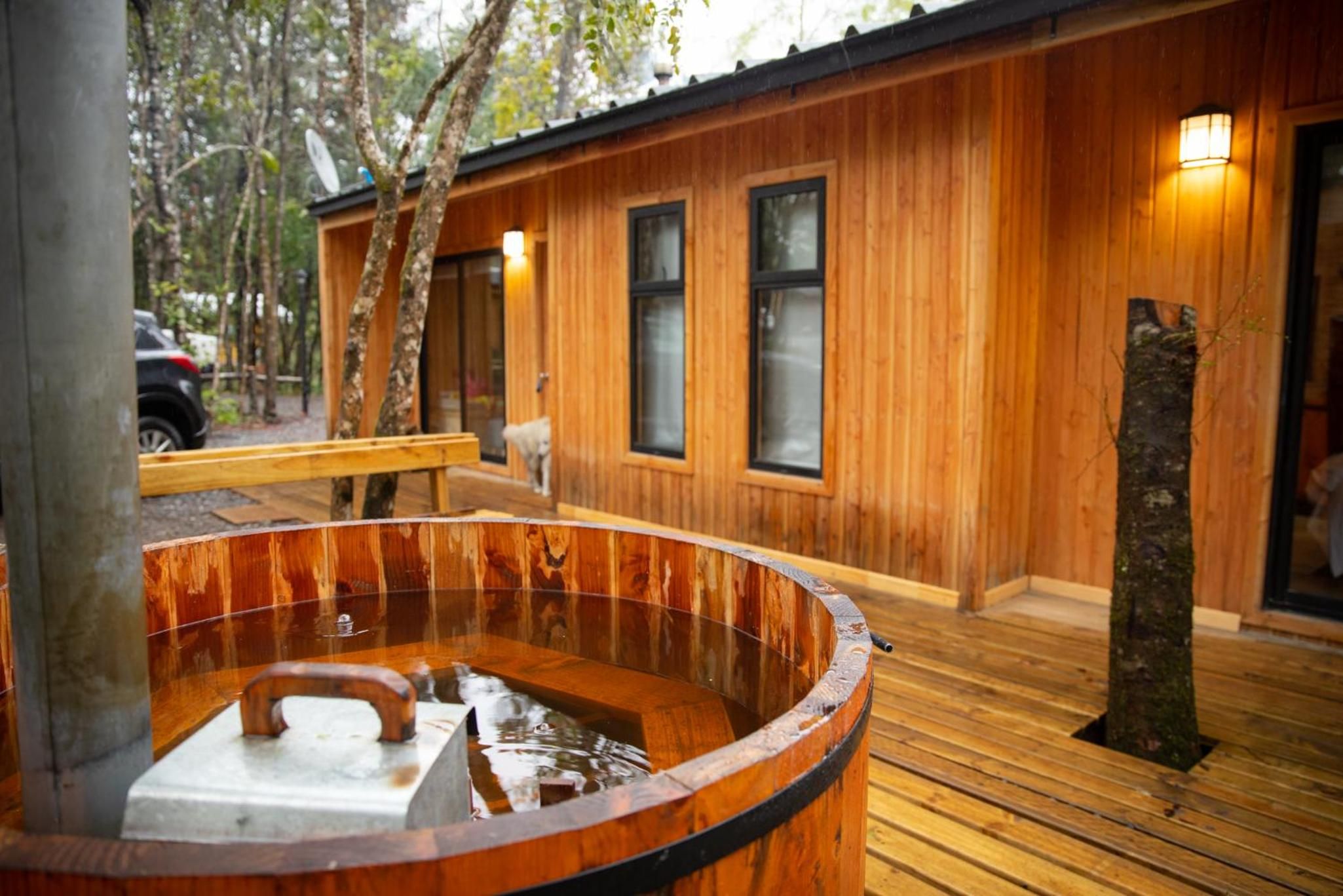 Una cabaña de madera con un jacuzzi, un banco y un árbol en primer plano.