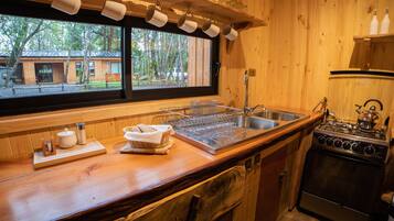 Fridge, oven, stovetop, coffee/tea maker