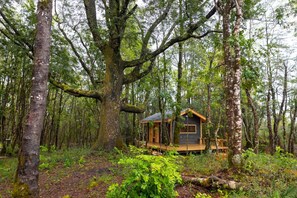 A wooden cabin surrounded by a dense forest. - La Escondida Pucón (Villarrica)