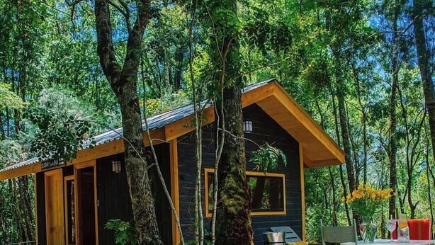 Una baita con veranda, immersa tra gli alberi.