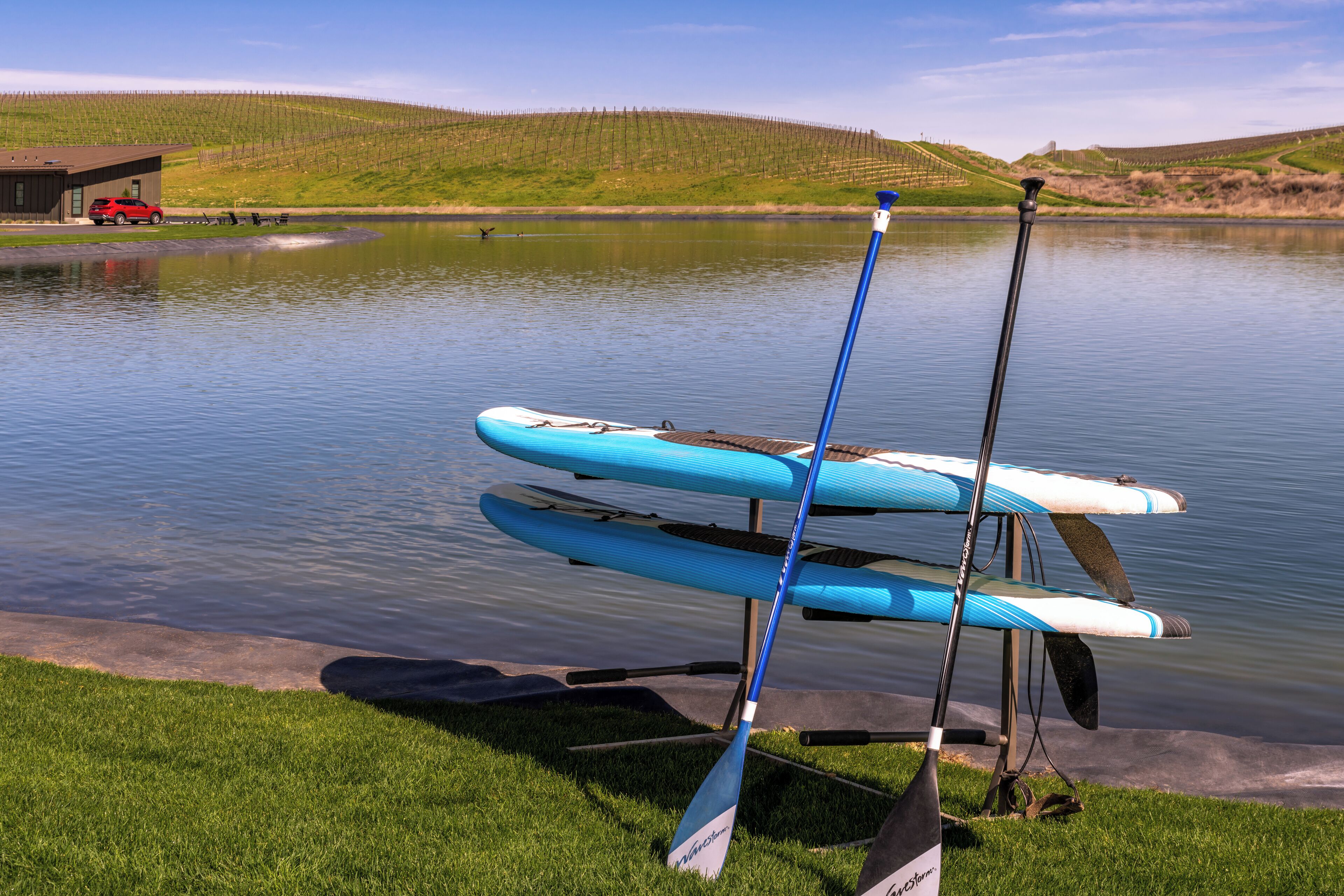 Una hilera de tablas de remo y sus palas junto a un lago tranquilo, con una zona de césped y un edificio al fondo.