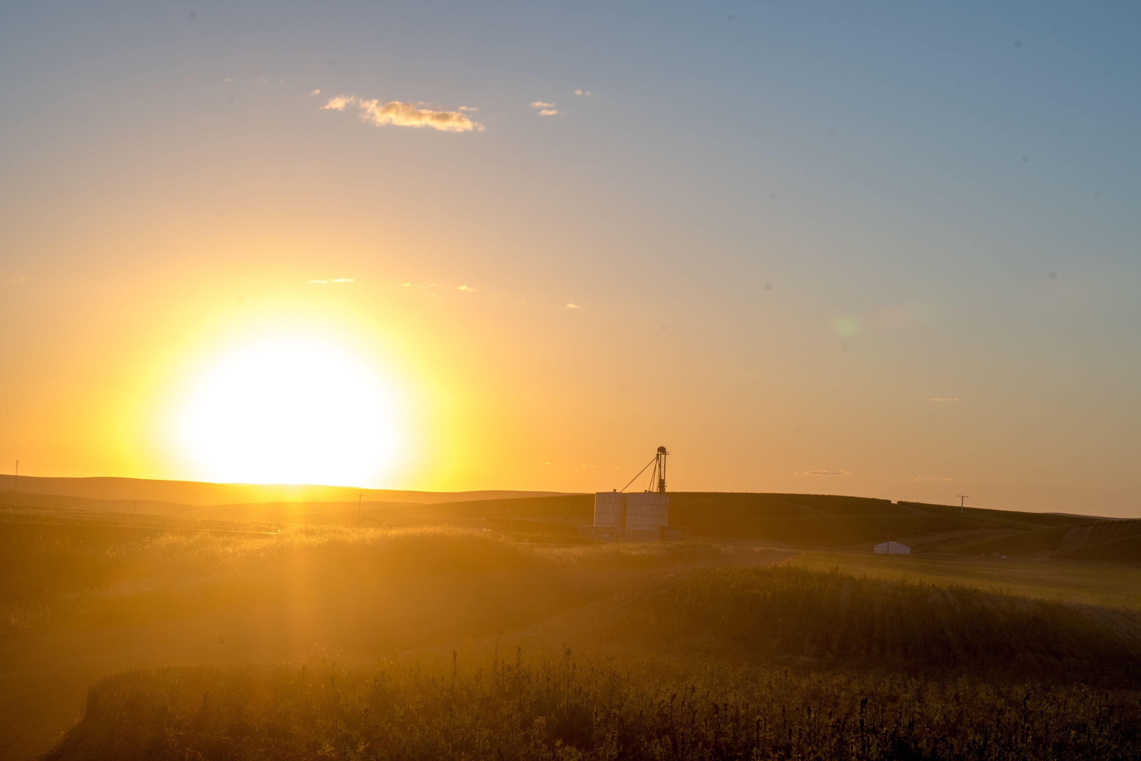 deluxe studio suite, 1 king bed, mobility accessible | mountain view