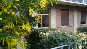 Exclusive Apartment | View from room