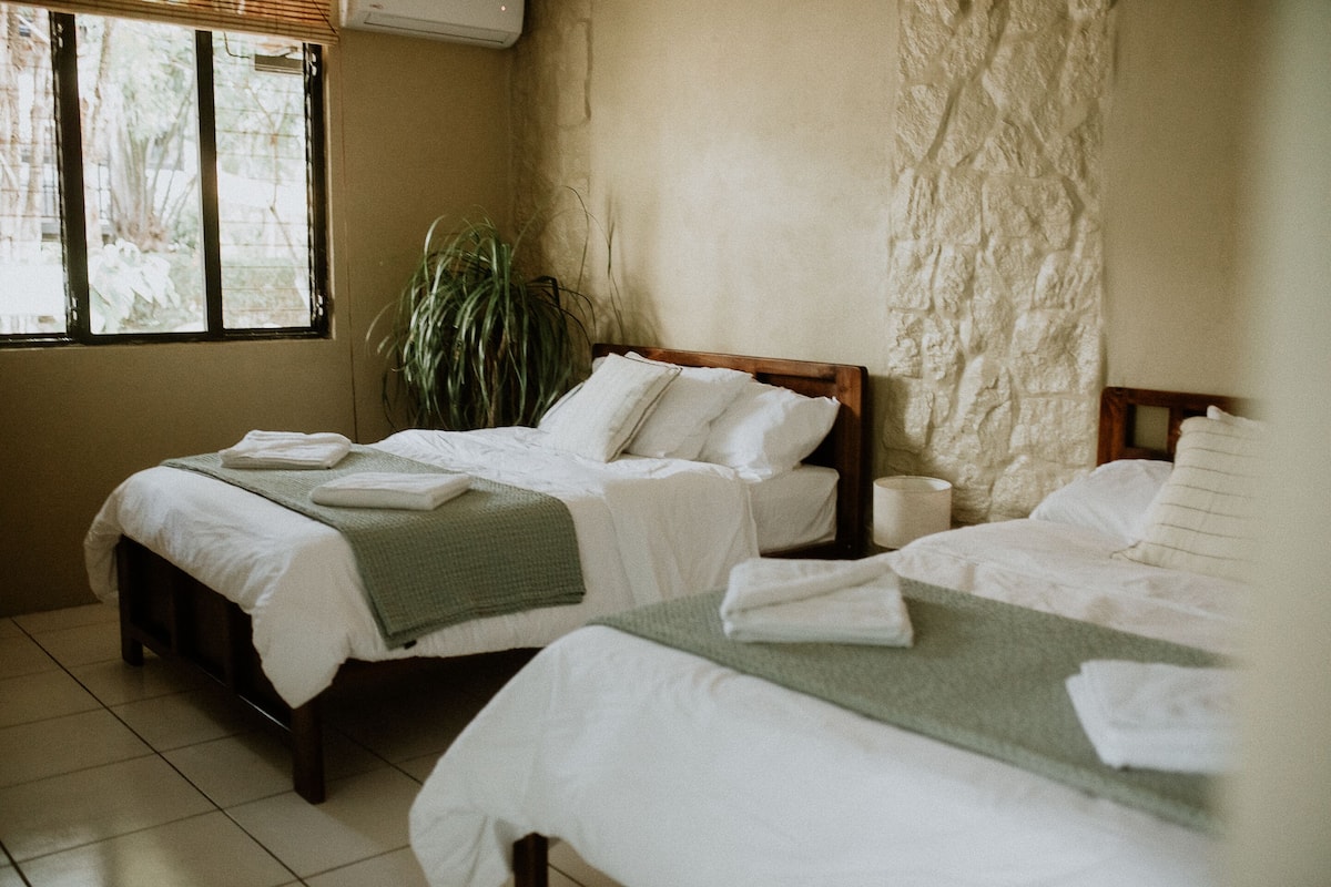 Ein Schlafzimmer mit zwei Betten, einem großen Fenster und einer Pflanze.