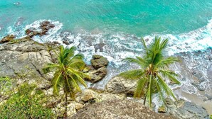 A coastal view with rocky terrain and palm trees. - Castillo Tambor Resort and Restaurant (Cóbano)