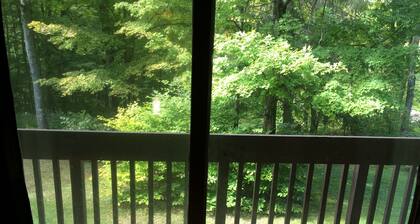 Hiihtää oikeus teidän äskettäin remodled suuri huoneisto, nauttia puulämmitteinen takka & säästä